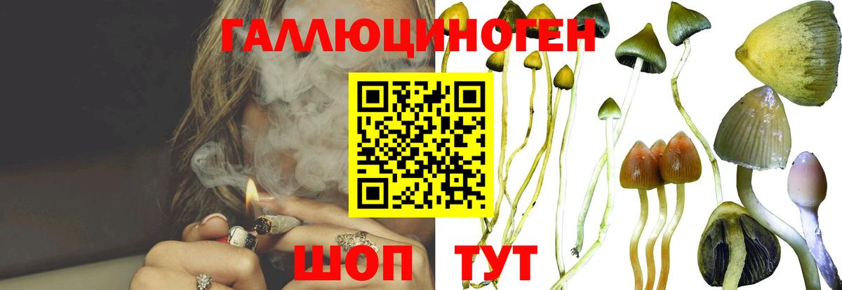 Россия  Псилоцибиновые грибы прущие грибы  купить   Вход с VPN 