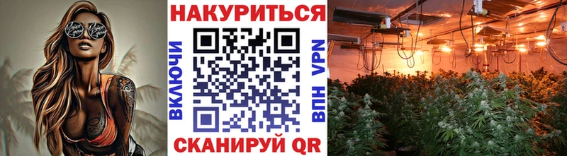 Шишки марихуана White Widow  Оренбург 